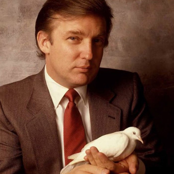 t-6955-1551335222 10