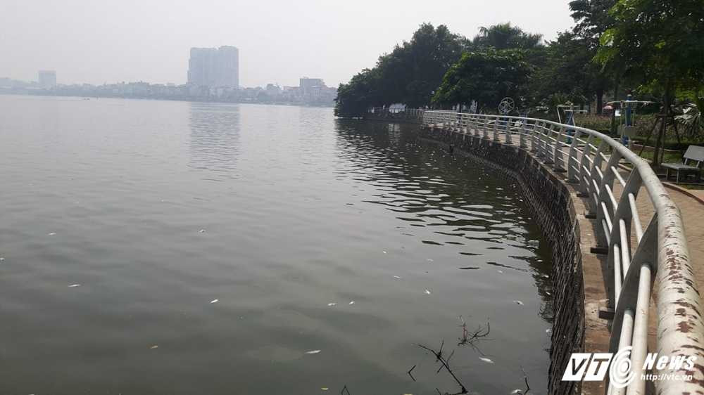 14618813_675555512595046_1818727493_o