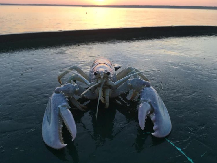 5b86d1983cccd14d008b4596-750-563