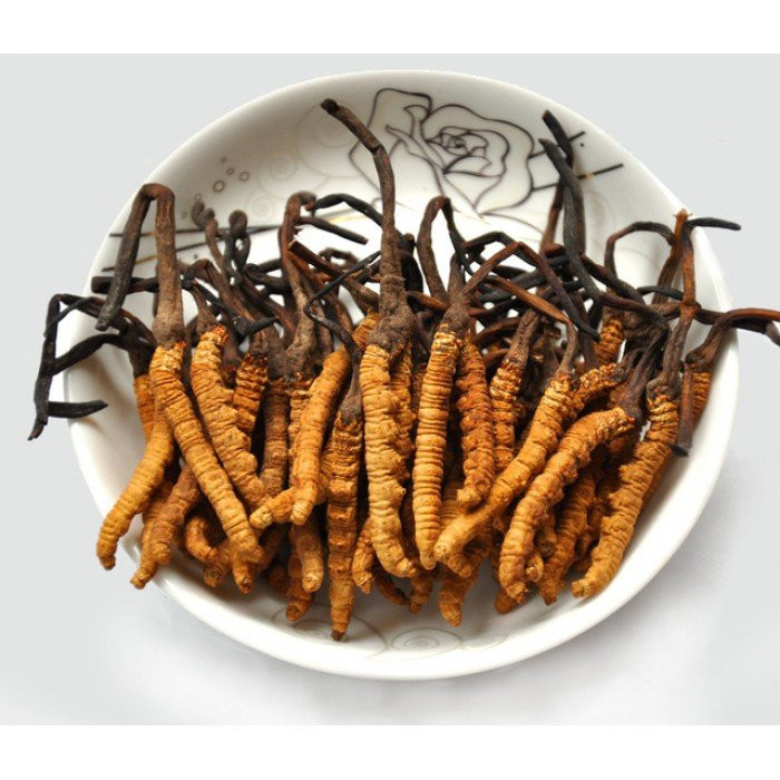 dong-trung-ha-thao-thuoc-quy-cho-suc-khoe-bi-ha-be-nhu-the-nao-700x700