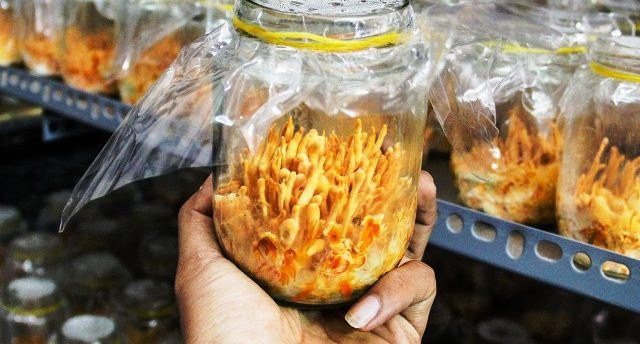 photo-1-15355264412442120777289 4