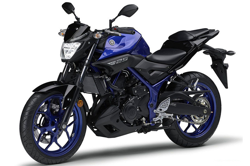Yamaha-MT-25-2