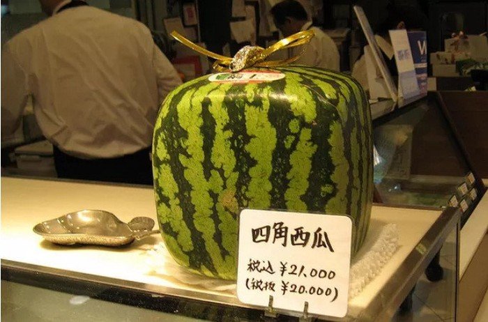 hoa_qua_nhat6 7