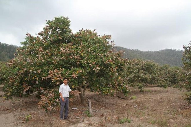 thuong_lai_trung_quoc3 3