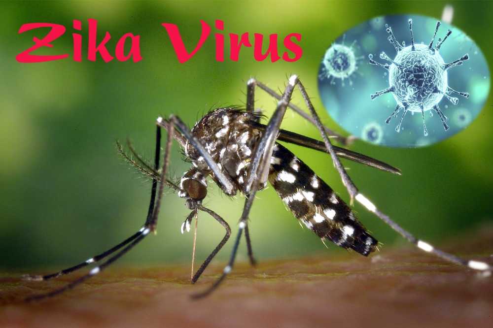 virus-Zika_1500