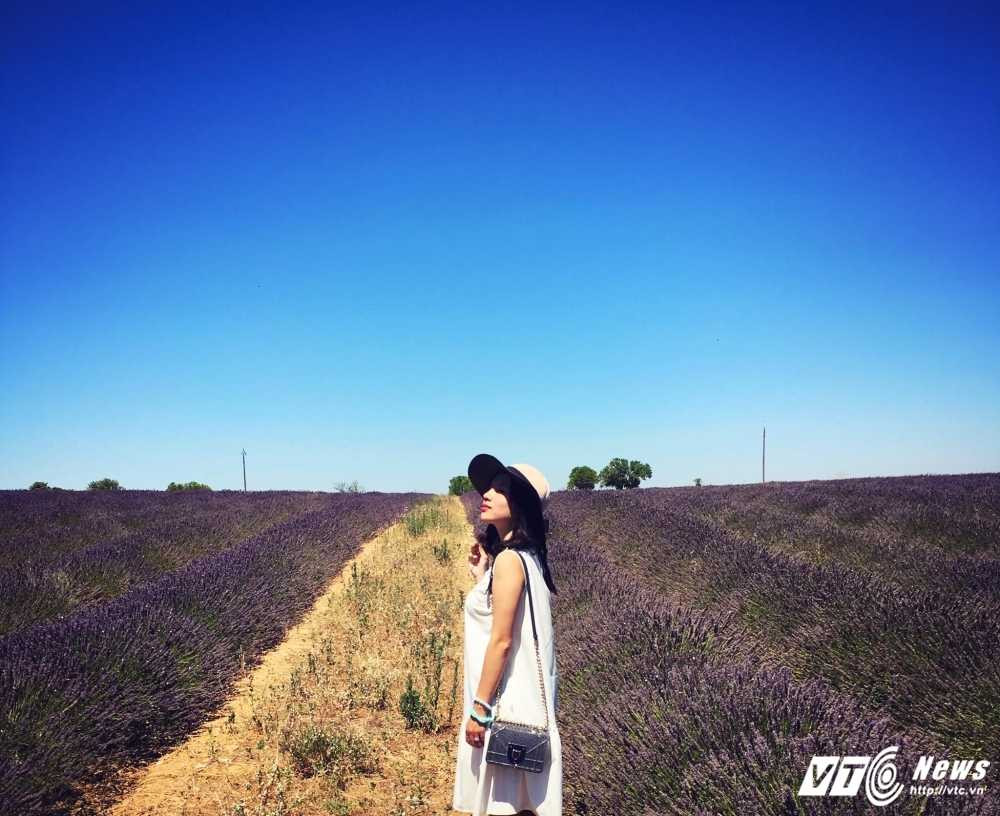 13734899_1364025466945073