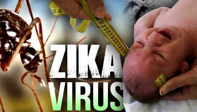 zika-virus