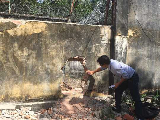 14925810-1177615585638940-1890764794982583180-n-1478662333856