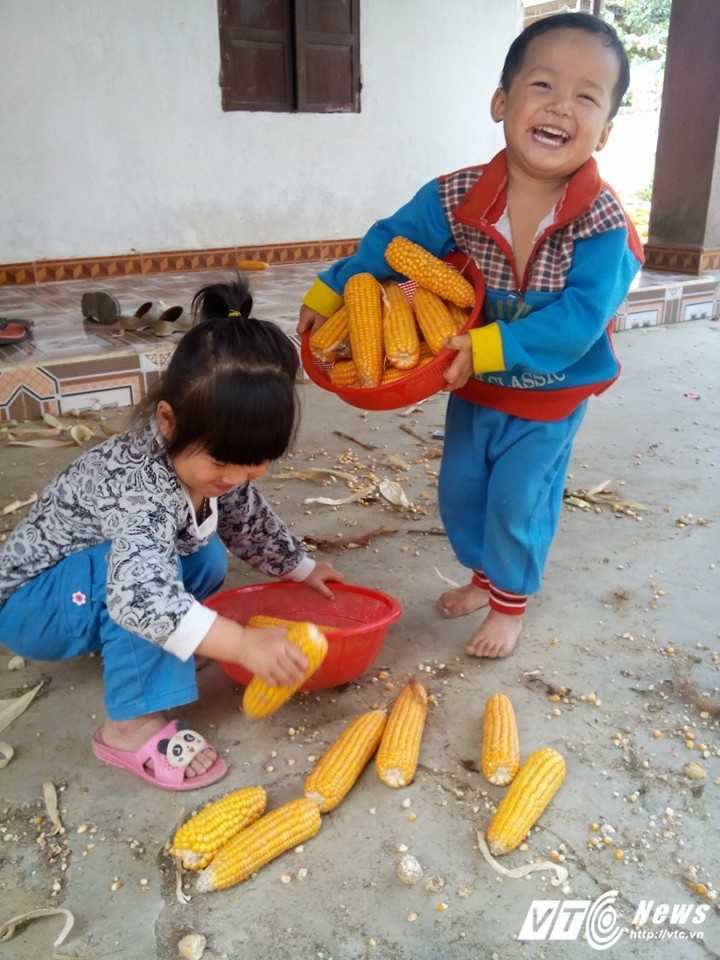 12742092_1564029540590108