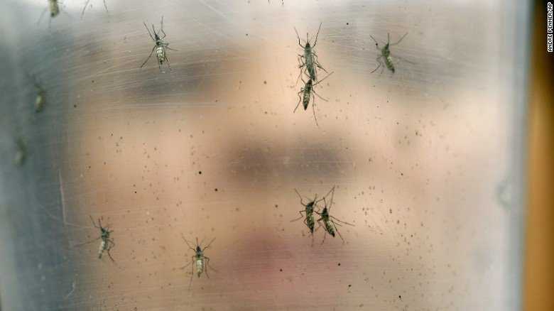 virus-zika-2