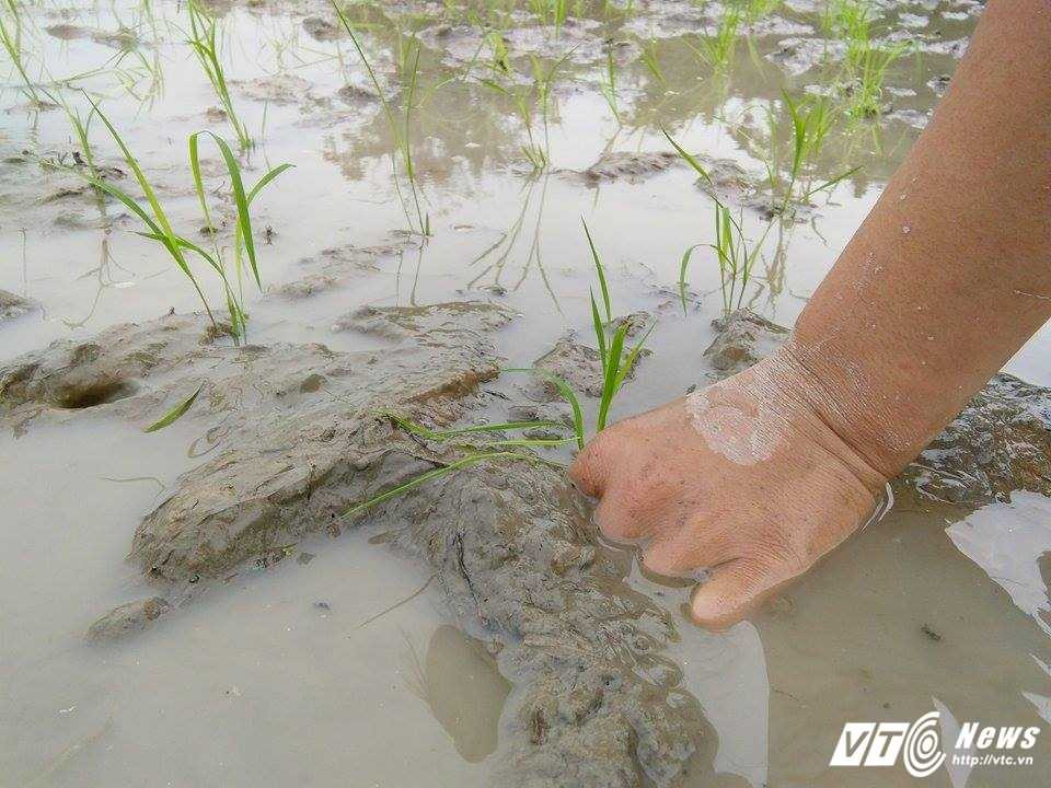 16358939_1853441428202688