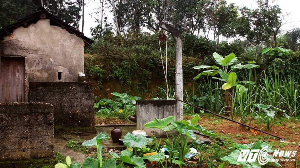 16508898_1857116514501846