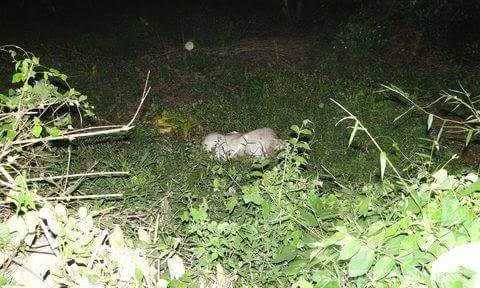 unnamed-6-1486524255727