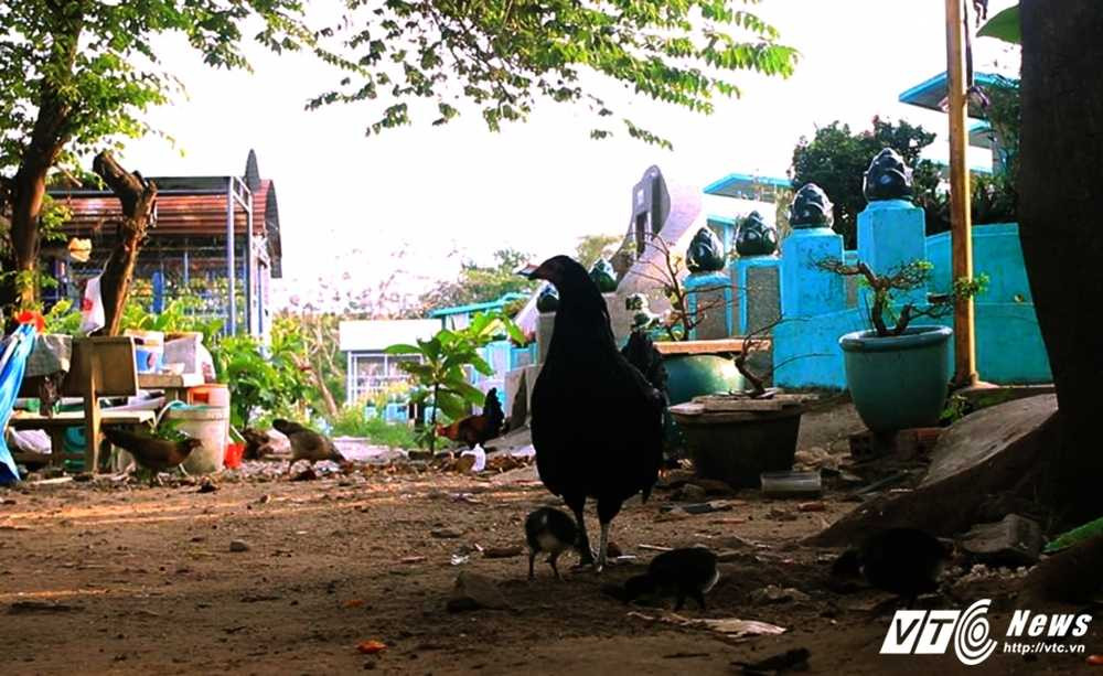 16831929_1866076823605815