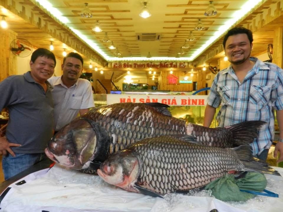 10155637_10203901039597534_1904760409143580764_n