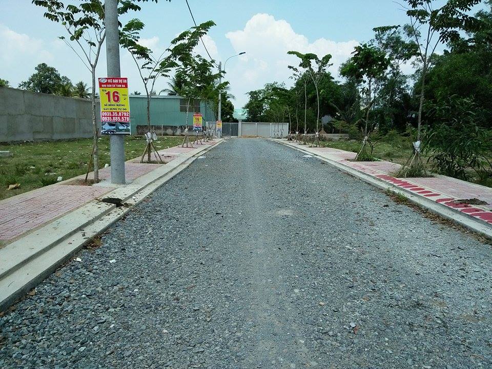 Hinh anh 3