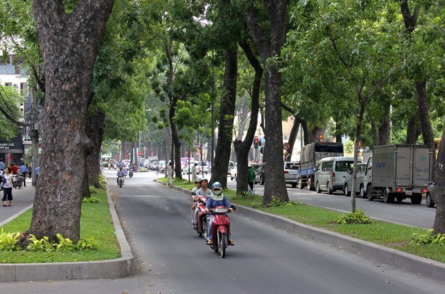 18c59_de902_cay_xanh_3