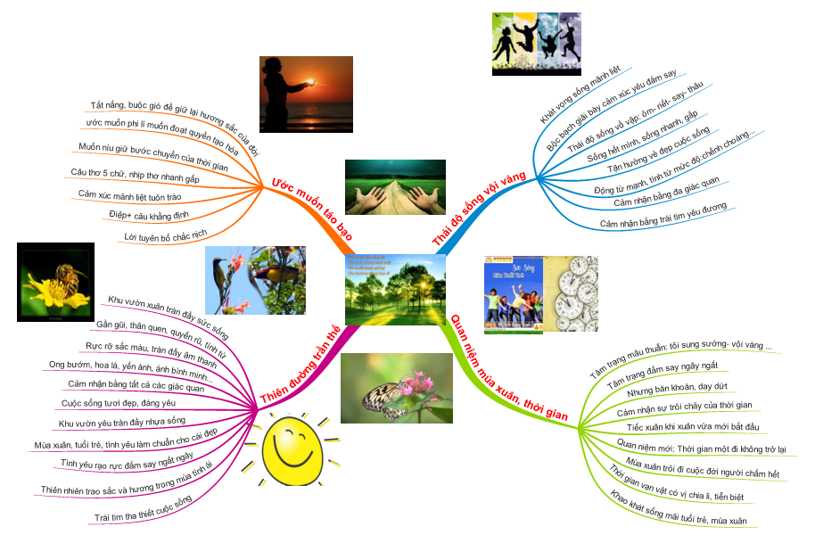 32583370_2027803524107093_8143056327321583616_n 6