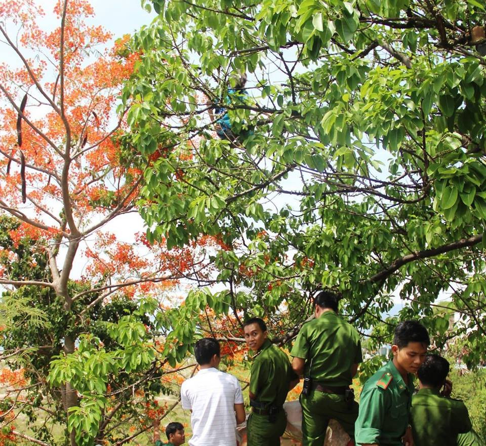 36866241_598774643853280_505368439280369664_n