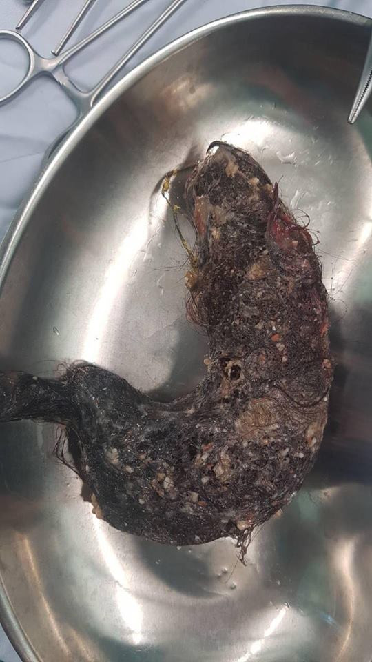 40684679_2125335721066145_1358022148794351616_n 3