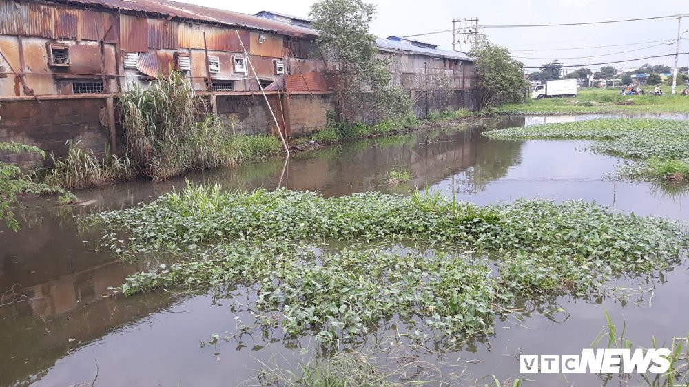 40986017_225541151651021_2250313961159262208_n