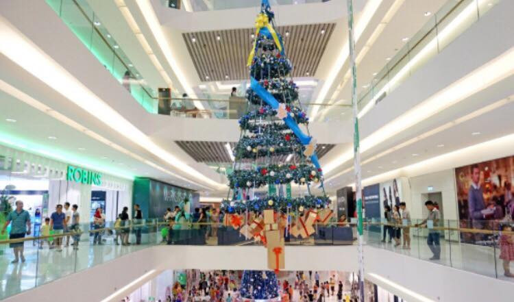 48912177_681438132250068_8437544496593371136_n 12