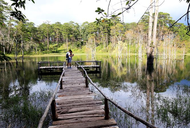 tien_phong_phim_truong__1_udtv