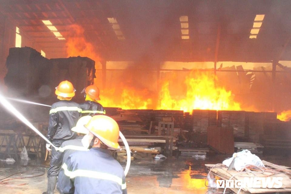 48381884_2028289120569682_5854995135548358656_n