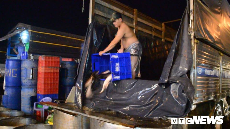 52396190_381286836019003_5786406784163905536_n