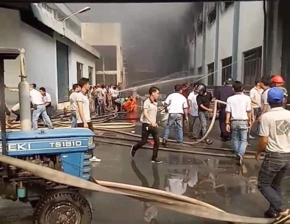 53352514_870986959909112_2365458679995564032_n 3