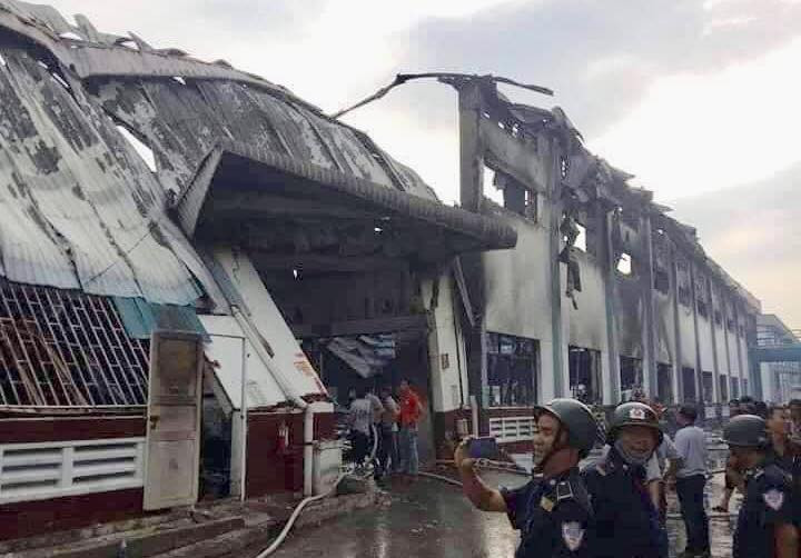 53450188_2470042643007169_2869904581775589376_n 6