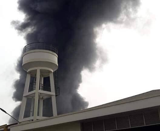 53533196_307156696667269_4846253020188508160_n