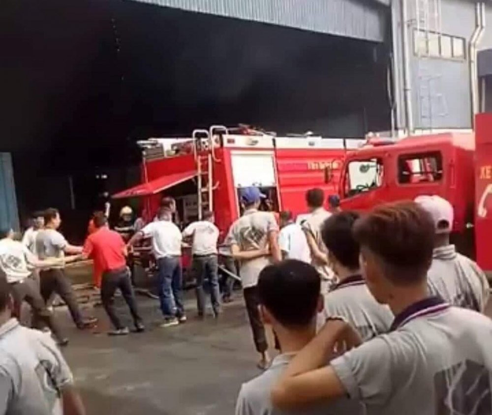 53740608_306559326718639_2867821342248402944_n