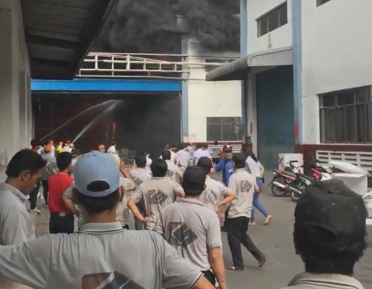 53830290_2231805203547358_2529141627402846208_n 7