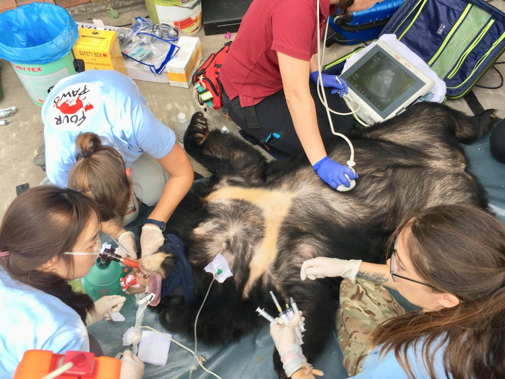 53541023_384050025513853_484097368933793792_n