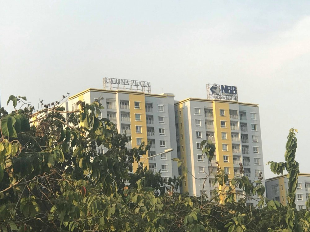 53652938_355810071691334_5184320697899417600_n (1)