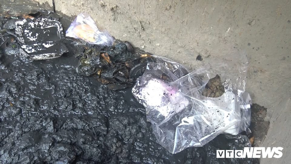 53738177_320229385517324_6508188828669313024_n 5