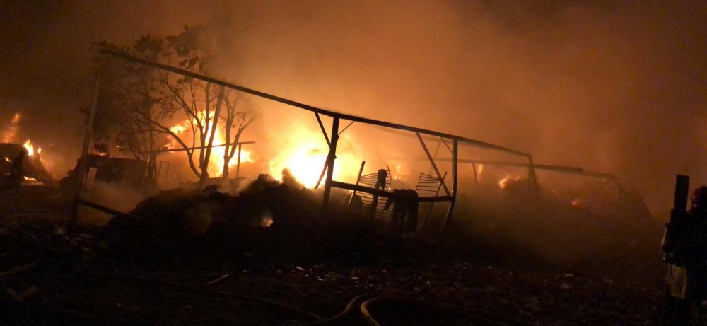 53874909_627864514306171_2999291098632814592_n