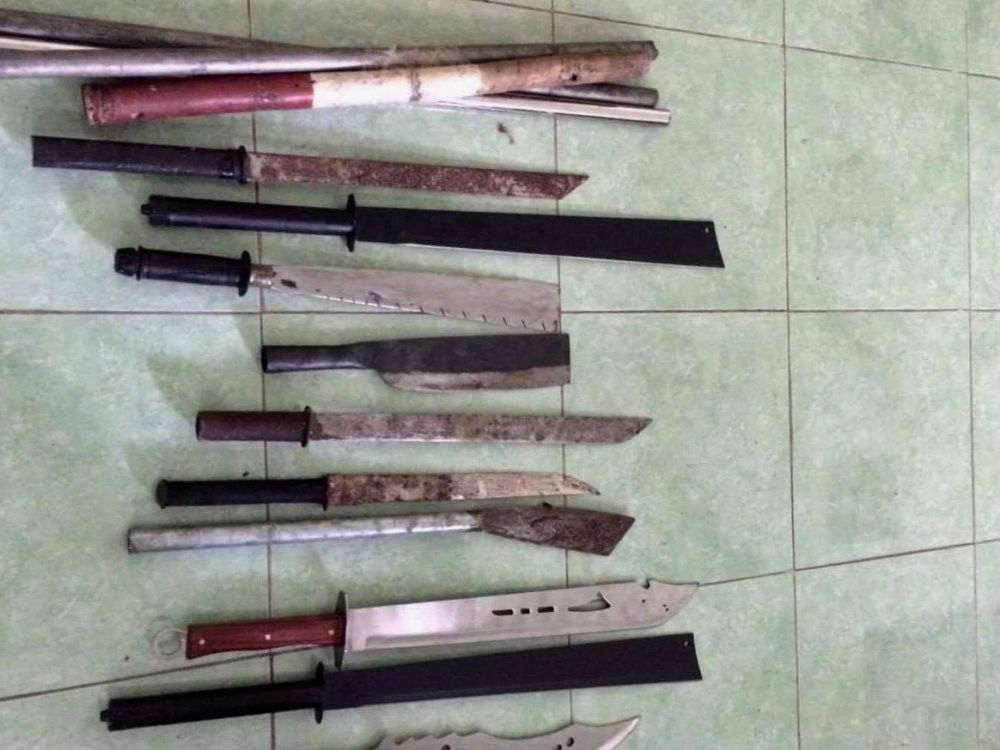 55726134_815398505464798_4495516722257723392_n