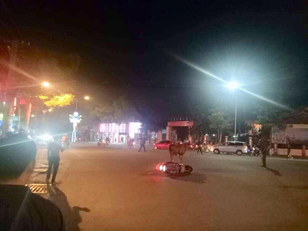 binh-duong-bo-dien-huc-nguoi (2)