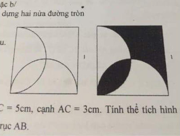 61852982_442701999864142_7992650751618842624_n 6