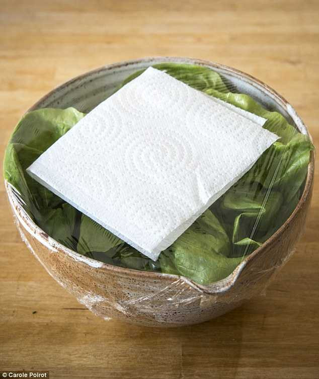 3C2B21EB00000578-4124018-