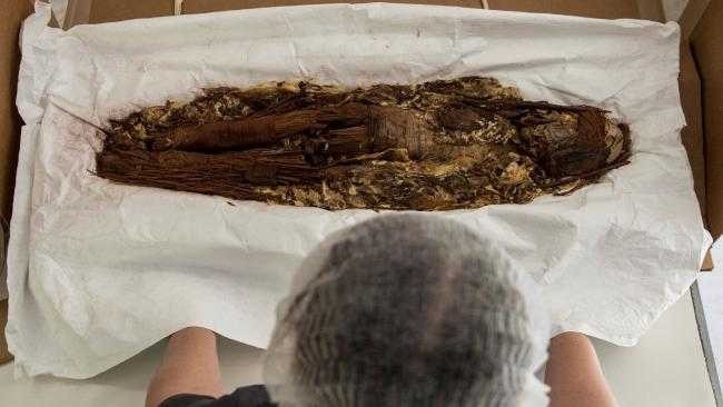 a69c017423370290c15efa273611d02c