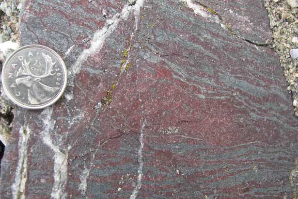 EMB-PAY-SWNS_OLDEST_FOSSILS_03