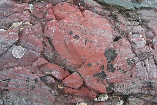 EMB-PAY-SWNS_OLDEST_FOSSILS_24