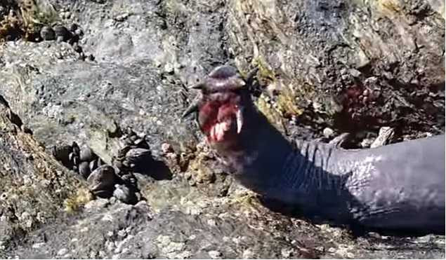 3DE716EF00000578-0-image-a-31_1488518340427