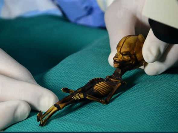 Atacama-Humanoid-839172