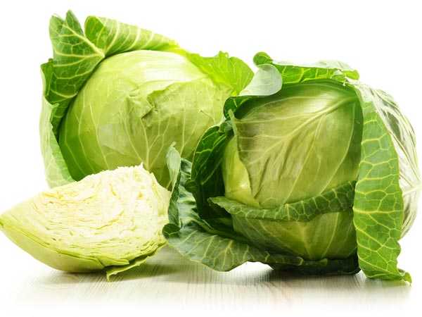 08-1488969348-cabbage