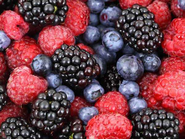 x08-1488969333-berries.jp