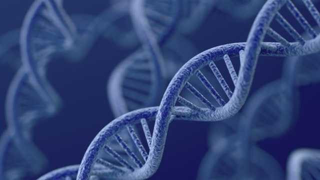 khoa-hoc-chung-minh-tat-ma-gen-nay-thi-an-gi-cung-khong-lo-beo